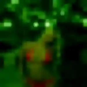 Photo perso de Sarah, 44 ans à Ansac-sur-Vienne - rencontre sans lendemain