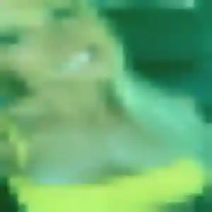Photo exclusive de Wambui, 39 ans à Appoigny - plan discret