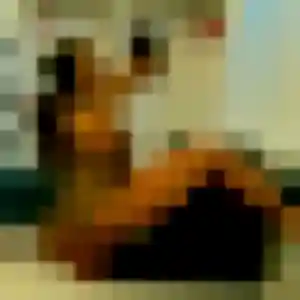 Evelyne de Arc-sur-Tille, 33 ans - plan cul discret