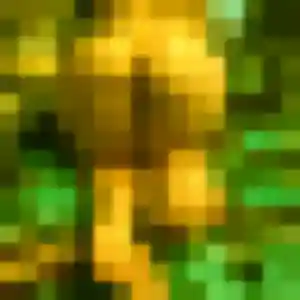 Photo de Adélaïde à Ardes (34 ans) - plan cul anonyme
