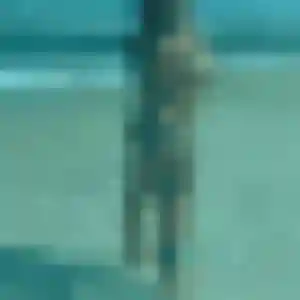 Suzanne de Argelès-sur-Mer, 25 ans - plan cul discret