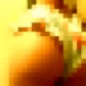 Sexy Aminata, 39 ans à Argeliers - voir sa photo
