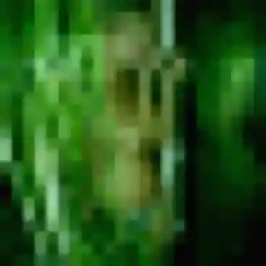 Photo de Penda à Arreau (32 ans) - plan cul discret