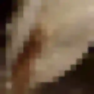Photo de Amani à Arthez-de-Béarn (35 ans) - plan cul gratuit