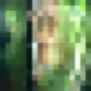 Photo de Aurore à Arvert (29 ans) - plan cul sans inscription