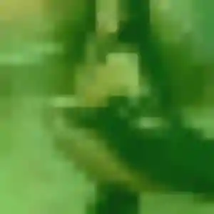 Photo de Adaeze à Aujargues (42 ans) - plan cul sans inscription