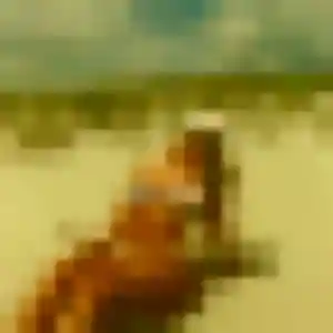 Photo de Henriette à Auvillar (31 ans) - plan cul discret