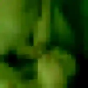 Photo privée de Naomie, 33 ans à Auzouville-sur-Ry - rencontre sans lendemain