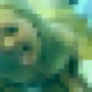 Photo exclusive de Adunni, 25 ans à Avenay-Val-d'Or - rencontre coquine