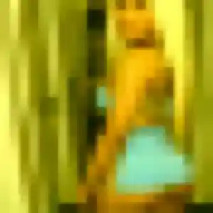 Photo exclusive de Efua, 23 ans à Ban-sur-Meurthe-Clefcy - rencontre sans lendemain
