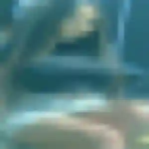 Photo sexy de Mégane, 22 ans à Bannalec - rencontre sans lendemain