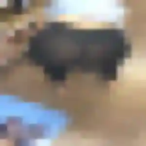 plan cul à Barbaste : photo de Soda, 27 ans - inscription gratuite