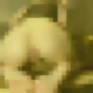 Charmante Béatrice, 44 ans à Barbezieux-Saint-Hilaire - la contacter