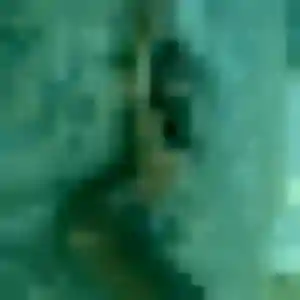 Patricia (44 ans) à Barby cherche une rencontre maintenant