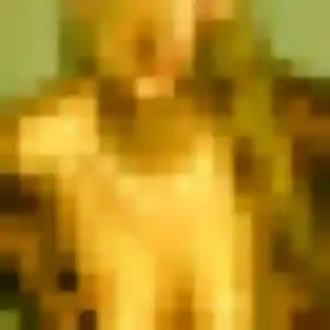 Photo sexy de Afi, 45 ans à Bazoges-en-Pareds - plan discret