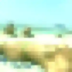 Profil de Atieno à Bazoges-en-Pareds (31 ans) - plan cul gratuit