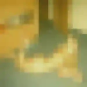 Photo exclusive de Maéva, 24 ans à Beaulieu-lès-Loches - rencontre coquine