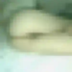 plan cul à Beauquesne : photo de Sarjo, 43 ans - accès libre