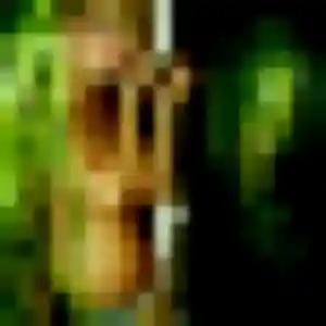 Photo exclusive de Oulimata, 36 ans à Beauregard-l'Évêque - rencontre coquine