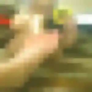Contacte Astan, 26 ans à Beignon en privé