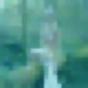 Photo perso de Célestine, 22 ans à Bellocq - rencontre coquine