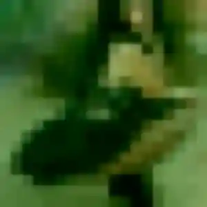 Photo perso de Joséphine, 44 ans à Berthecourt - plan discret