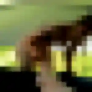 Sandrine, 40 ans, dispo pour plan cul à Bessé-sur-Braye