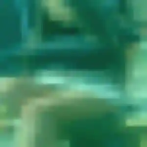 Photo perso de Noëlla, 37 ans à Beynes - rencontre coquine