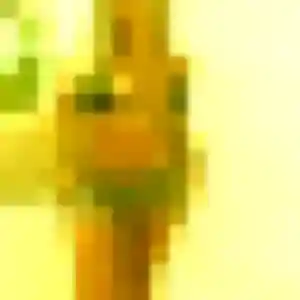 Photo de Élise à Bichancourt (22 ans) - plan cul gratuit