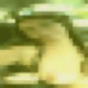 Divine (45 ans) à Bioule cherche une rencontre aujourd'hui
