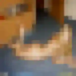 Photo exclusive de Ablavi, 41 ans à Bizanet - plan discret