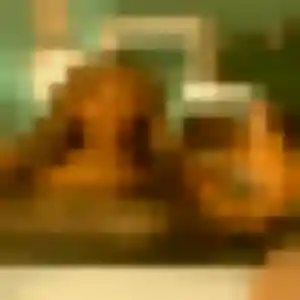 Photo perso de Jeanine, 27 ans à Biziat - plan discret