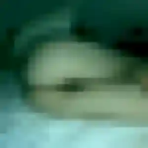 Leïla, fille de 36 ans cherche plan cul à Blaincourt-lès-Précy