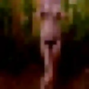 Photo privée de Vanessa, 43 ans à Bobigny - plan discret