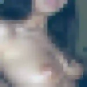 Profil de Yvette à Bogny-sur-Meuse (34 ans) - plan cul sans inscription