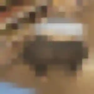 Lucinda, 31 ans, dispo pour plan cul à Boisville-la-Saint-Père