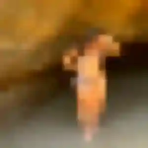 Photo de Stella à Bonnefamille (35 ans) - plan cul anonyme