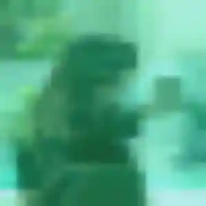 Profil de Folake à Bonnétable (26 ans) - plan cul gratuit