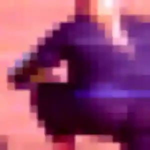 Photo privée de Titilayo, 22 ans à Bonzac - plan discret