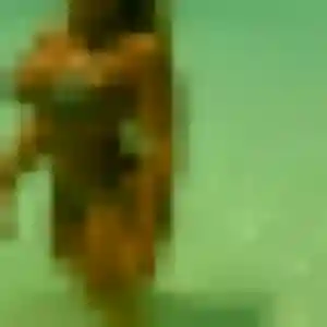 Sylvie, 27 ans, connectée à Boult-sur-Suippe pour une rencontre coquine