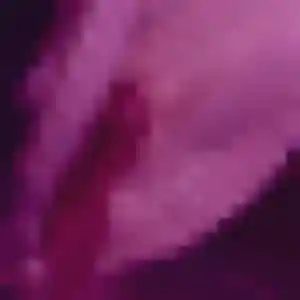 Belle Cindy, 28 ans à Bourg-de-Péage - la contacter