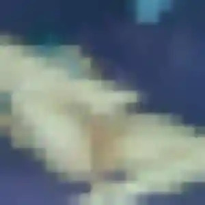 Viviane, 44 ans, dispo pour plan cul à Bourg-Saint-Maurice