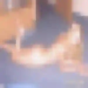 Photo de Peace à Bourgneuf (36 ans) - plan cul anonyme