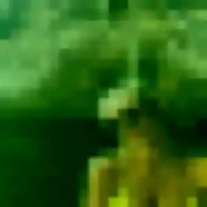 Lola, 45 ans, en ligne à Brangues pour une rencontre coquine