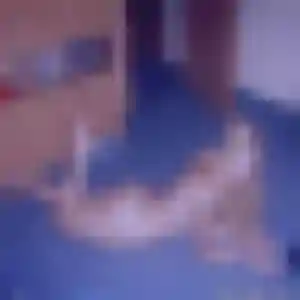 plan cul à Buais-Les-Monts : photo de Leïla, 32 ans - accès libre