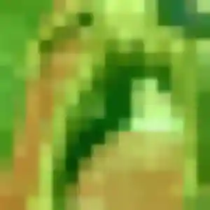 Photo exclusive de Arame, 40 ans à Cabannes - rencontre coquine