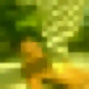Photo privée de Soraya, 35 ans à Cabestany - rencontre coquine