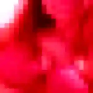 Photo perso de Yolande, 37 ans à Cambo-les-Bains - plan discret
