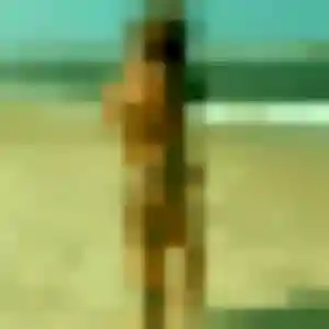 Djeneba, 27 ans, disponible à Campagne-sur-Aude pour une rencontre coquine