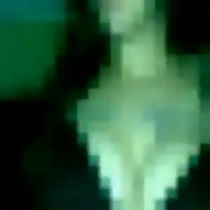 Photo sexy de Obiageli, 35 ans à Canals - rencontre sans lendemain